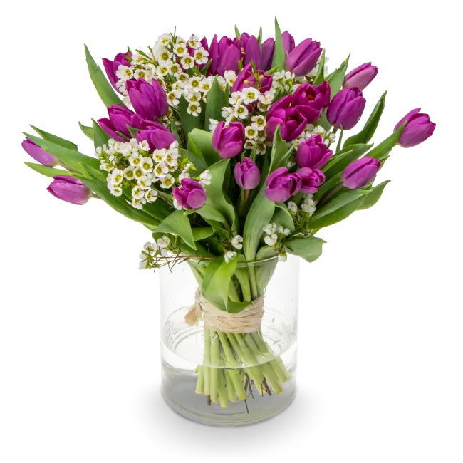 Bouquet of purple tulips
